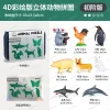 4D Insect Anatomy Model – STEM Learning Toy, Animal Assembly Kit for Children's Science Education