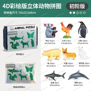 4D Insect Anatomy Model – STEM Learning Toy, Animal Assembly Kit for Children's Science Education